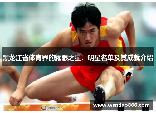 黑龙江省体育界的耀眼之星：明星名单及其成就介绍