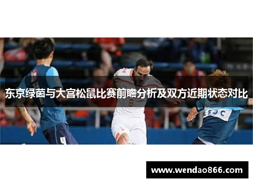 东京绿茵与大宫松鼠比赛前瞻分析及双方近期状态对比