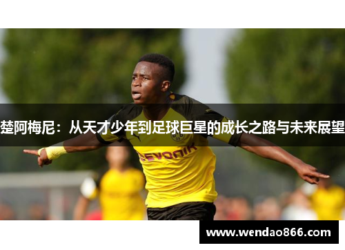 楚阿梅尼：从天才少年到足球巨星的成长之路与未来展望